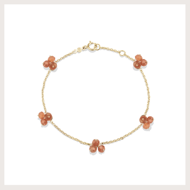 Pulseira Seeds com cornalina